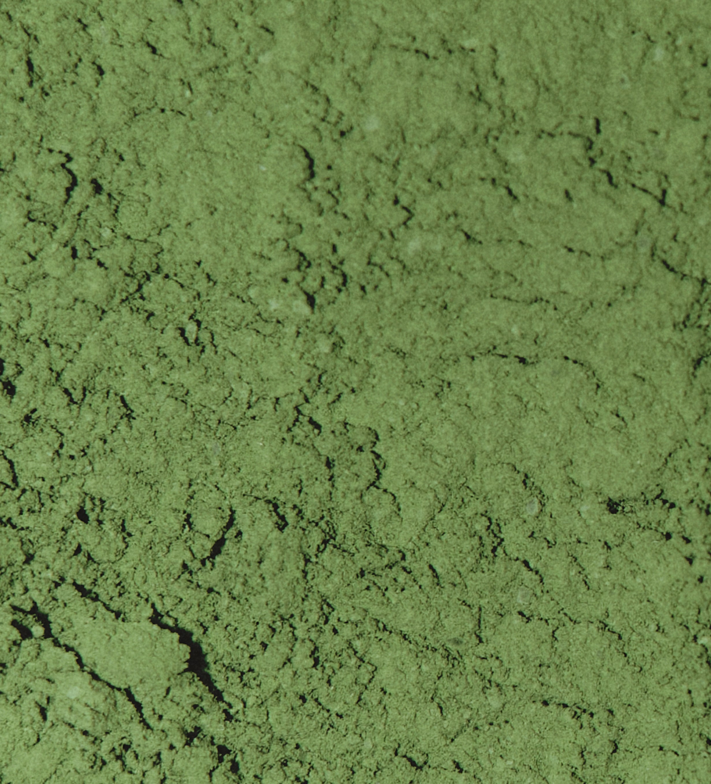 MAKE Ceremonial Matcha Refill