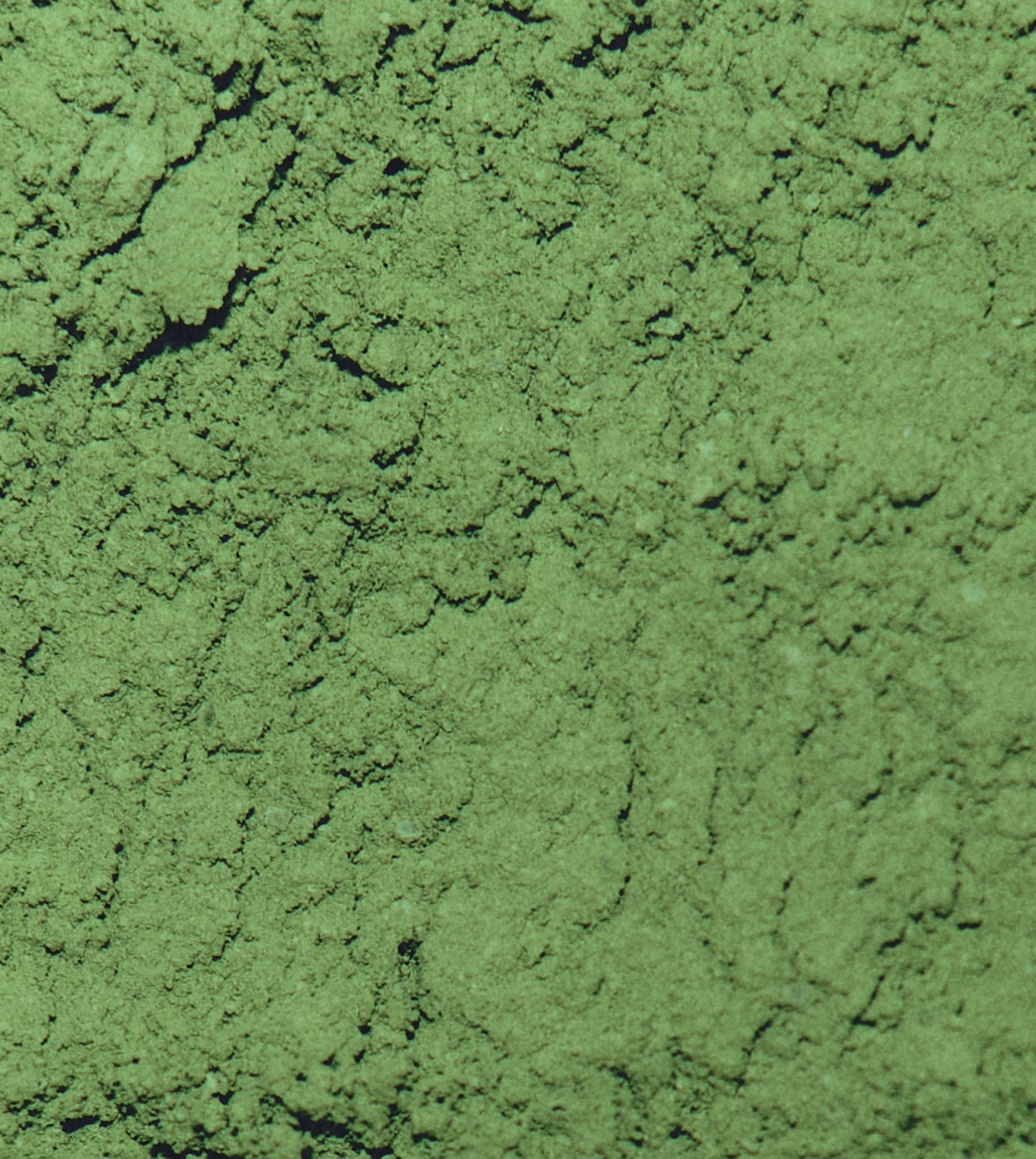 MAKE Heritage Matcha Refill