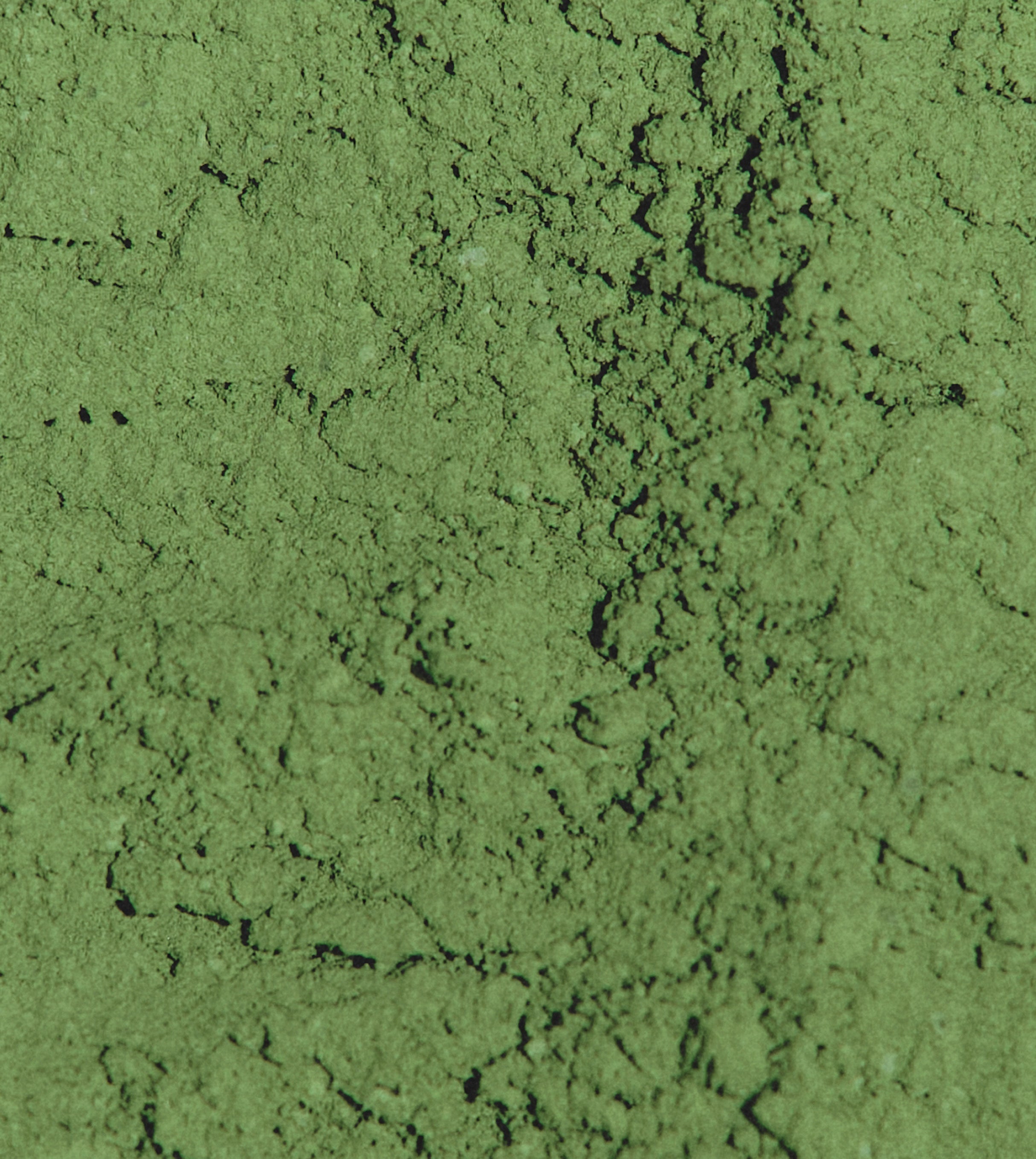 MAKE Imperial Matcha Refill